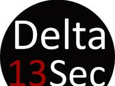 Delta13Sec International Intelligence & Security