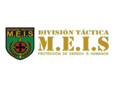 División Táctica M.E.I.S.