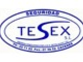 Seguridad Tesex